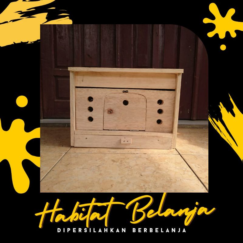 Gupon Merpati Doro Pagupon Tong Kandang Merpati Juara