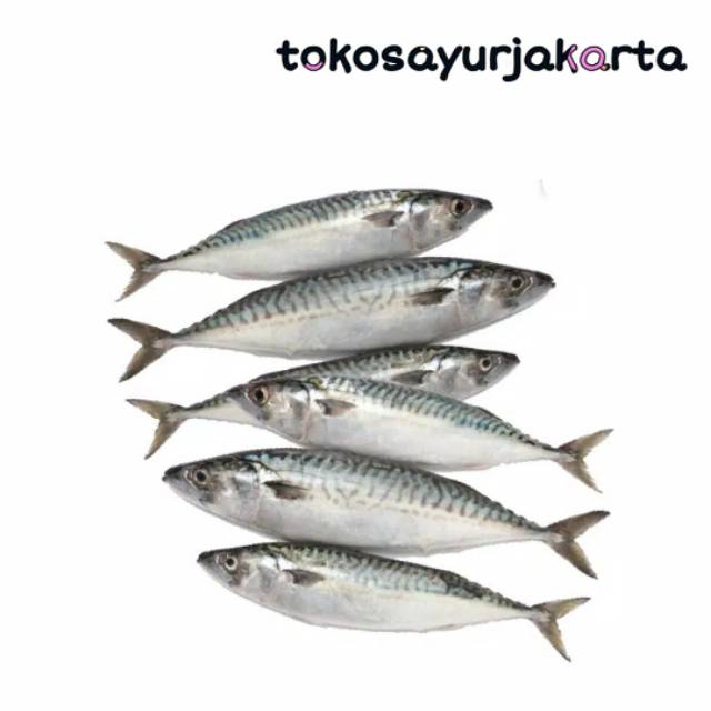 

Ikan Kembung Banjar - 500 gram / Ikan Kembung Banjar Hasil Laut Segar