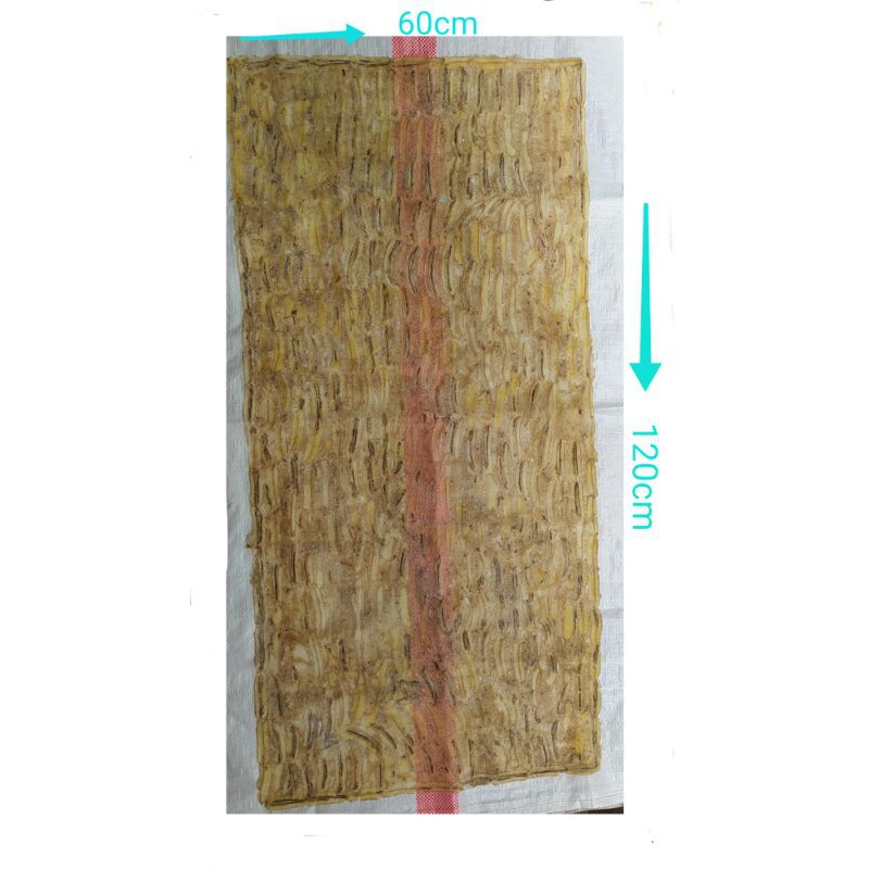 

SALEH PISAANG 1KG MUAT 2 PCS +- UKURAN 60 X 120 CM