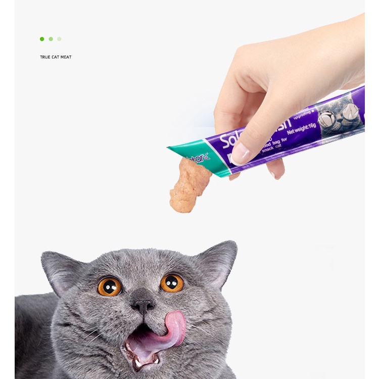 SNACK TREAT FOR CAT SNACK KUCING ISHTAR 15GR