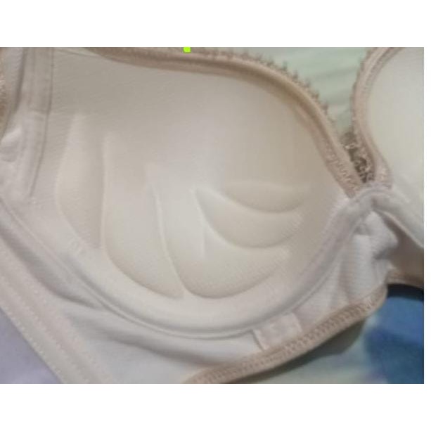 bra / bh wanita 9964 busa tebal ada kawat 34-38 CUP -B