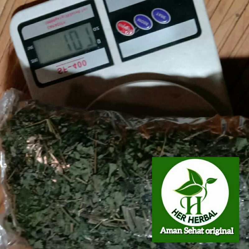 

Daun jelatang kering teh herbal per 100 gram