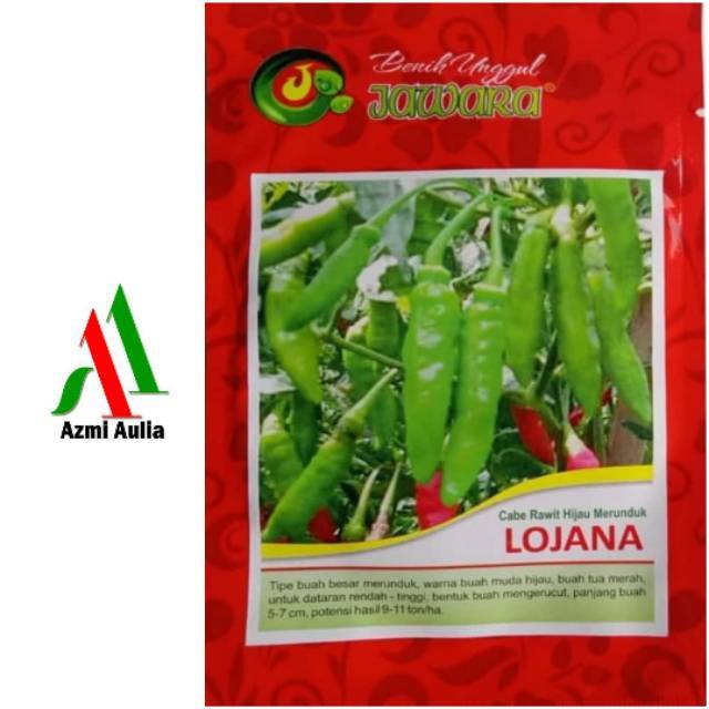 Jual Benih Cabe Rawit Hijau Merunduk Lojana 10gram Benih Cabe Bibit