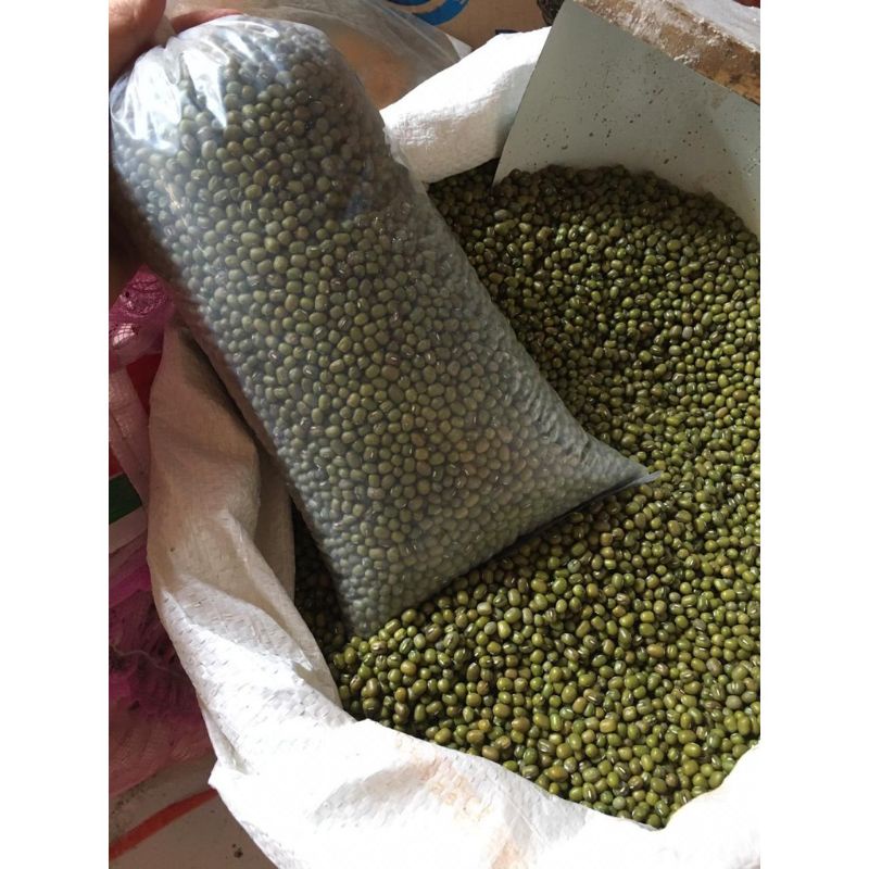 

Kacang Hijau Kacang IJo ORGANIK Kualitas Super ukuran 1kg