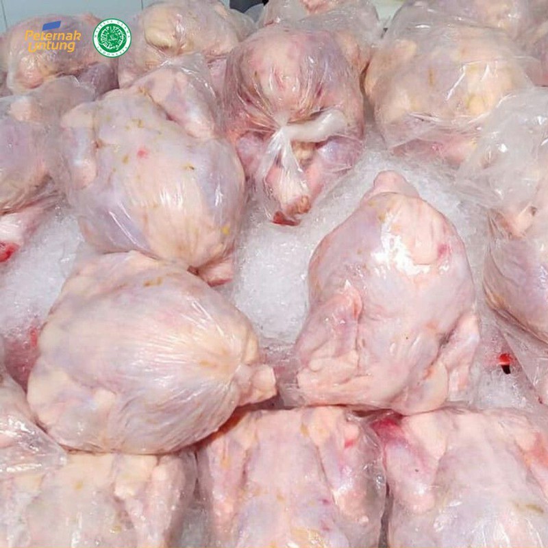 

Ayam Karkas 0.7 - 0.8 kg