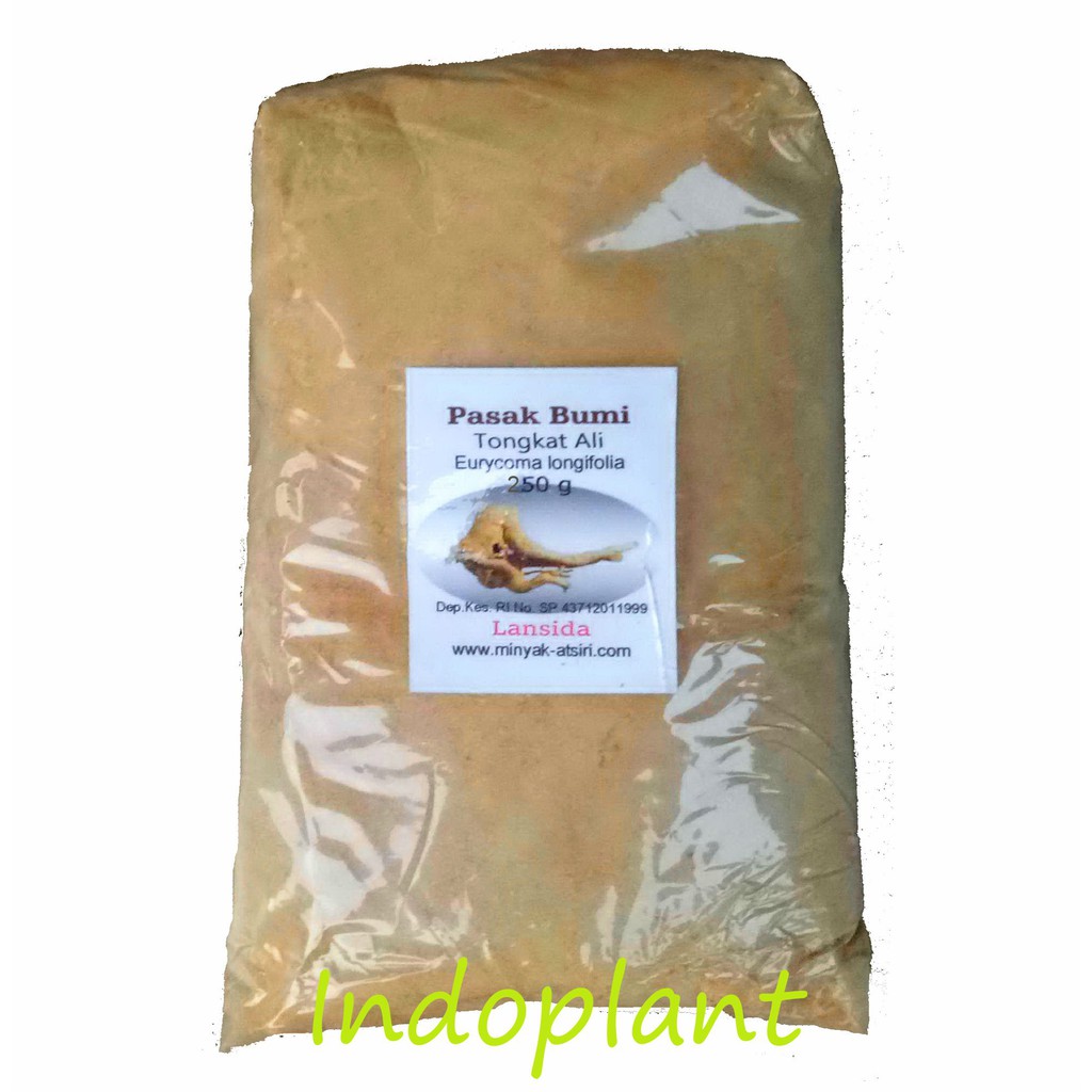 Bubuk Pasak Bumi 250 gr Simplisia Serbuk Tongkat Ali Herbal Eurycoma longifolia Powder