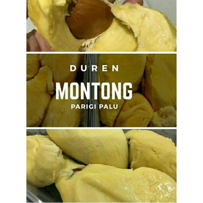 

durpas montong palu parigi