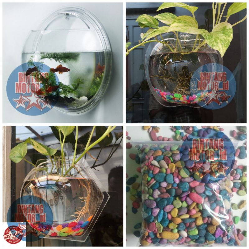 AQUARIUM DINDING / TEMPEL / AQUARIUM IKAN HIAS / AQUARIUM TANAMAN HIAS ATAU BUNGA / AQUARIUM CUPANG