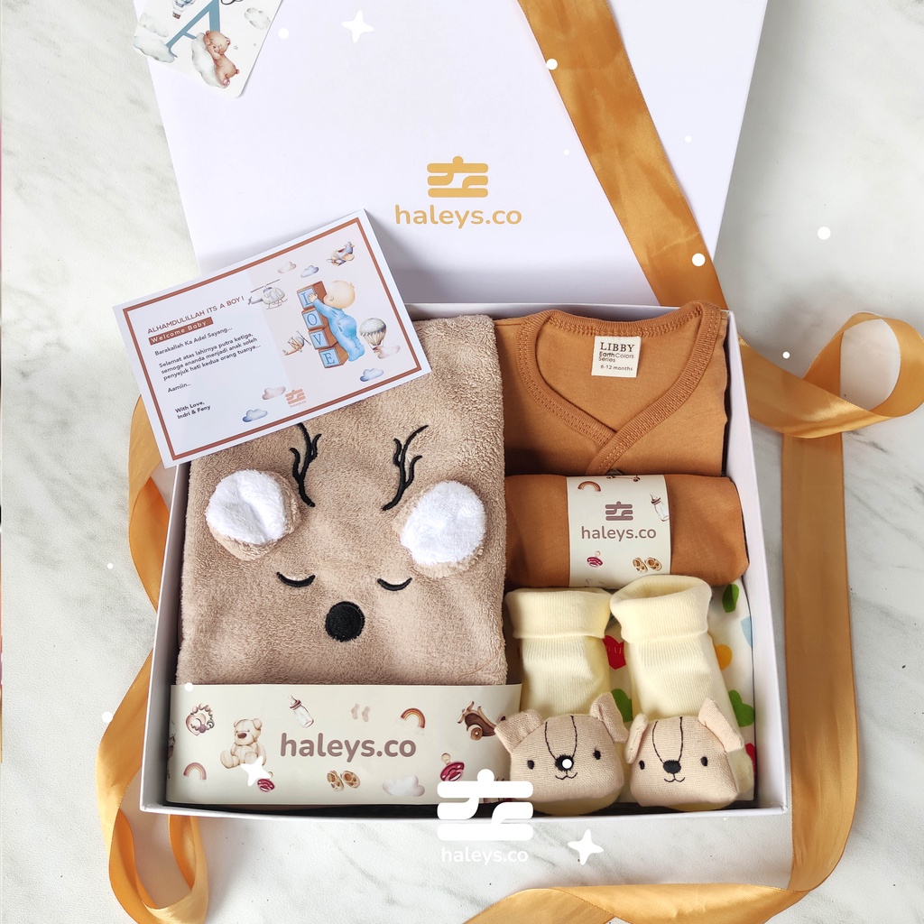 Haleys.co | Ginger Brown Boys Baby Hampers 0-12 months/ Hampers bayi newborn/ Kado bayi/ Babyboy Gift / Kado Lahiran / Giftbox / Kado Bayi Perempuan / Girl Hampers baby / Kado bayi laki laki / Paket Kado Bayi