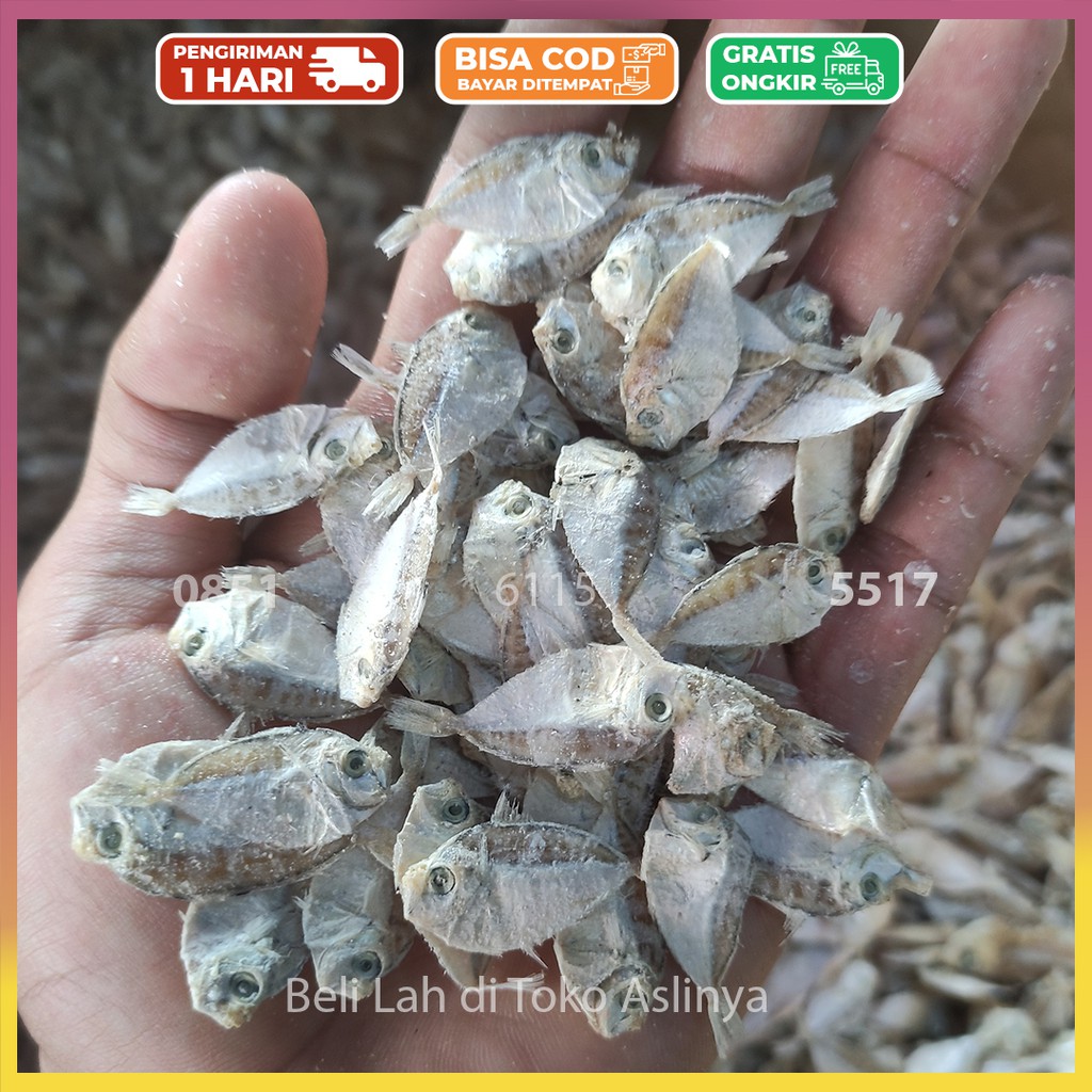 

Ikan Asin Petek Kecil 1Kg 500gr 250gr - 100% Fresh