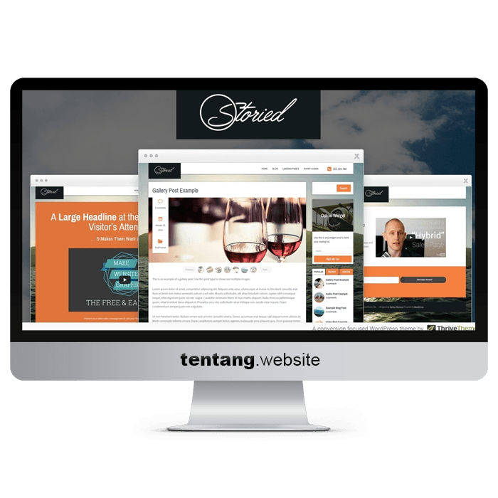 Thrive Themes Storied WP Theme