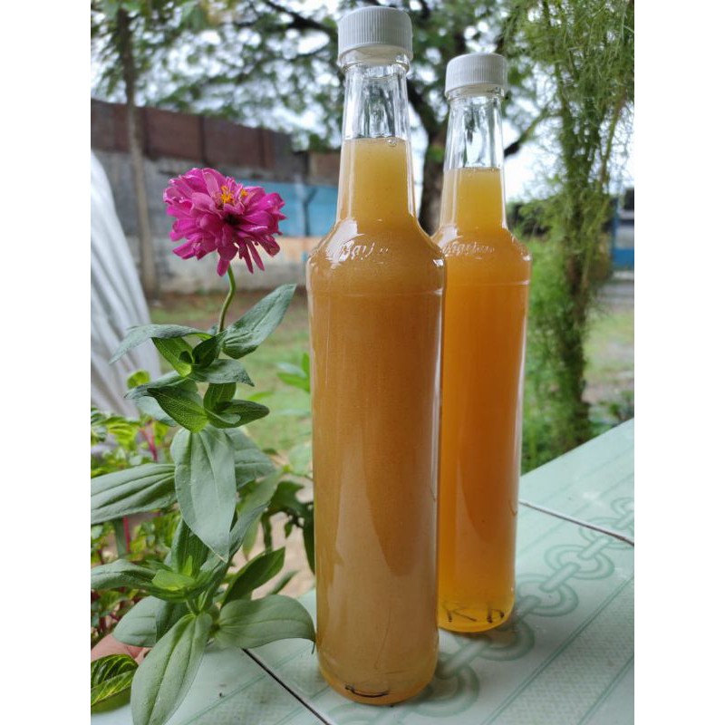 

madu kayu putih (sanad terpercaya)