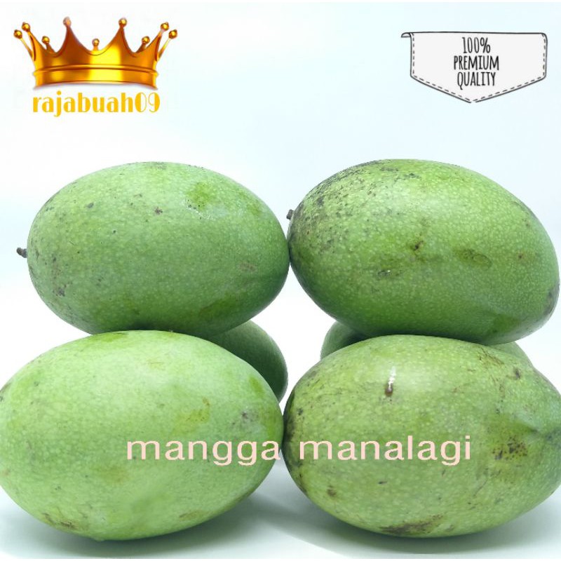 

Buah Mangga Manalagi / Mangga Fresh 1 kg