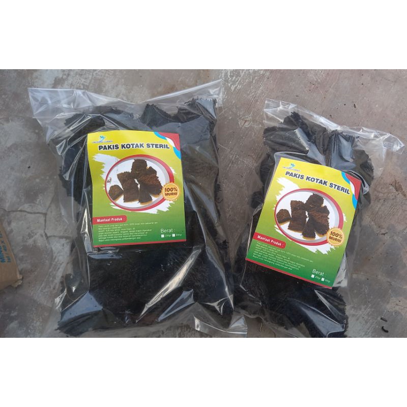 Pakis Cacah Koral Steril Media Tanam Anggrek Aglonema