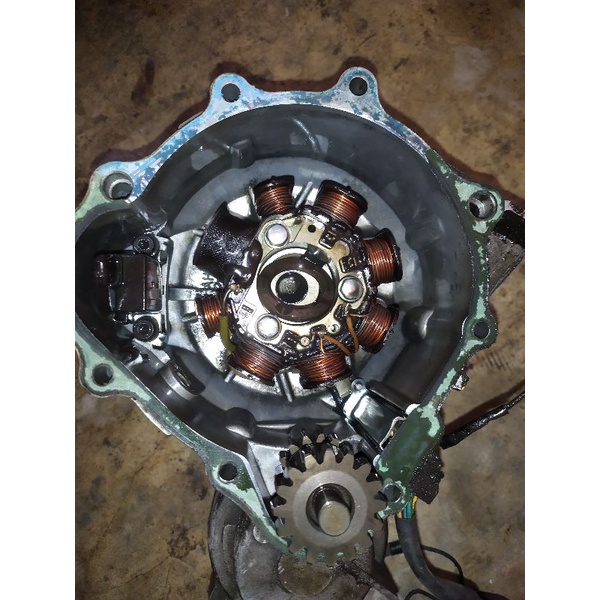 Spul Tiger Revo original