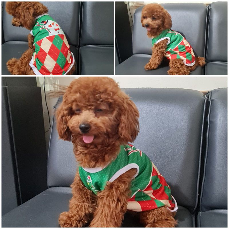 Baju Kaos Doggie Tema Natal Christmas Winter