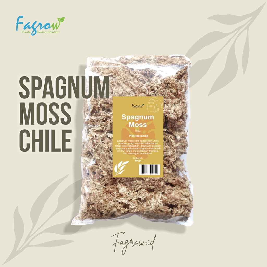 Sphagnum Moss Import Chile