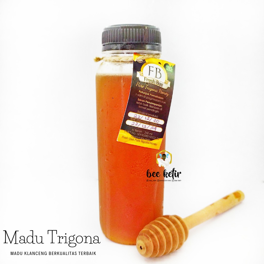 

Madu Trigona