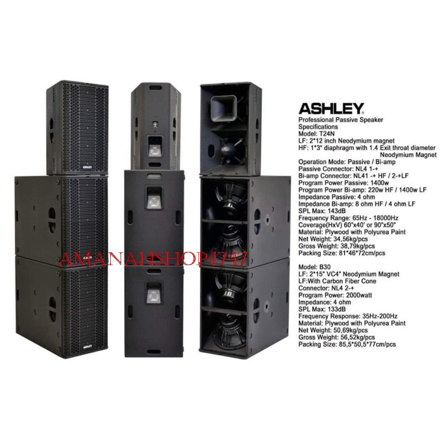 SPEAKER PASIF ASHLEY T24N T 24N T 24 N 2X12 NEODYMIUM MAGNET