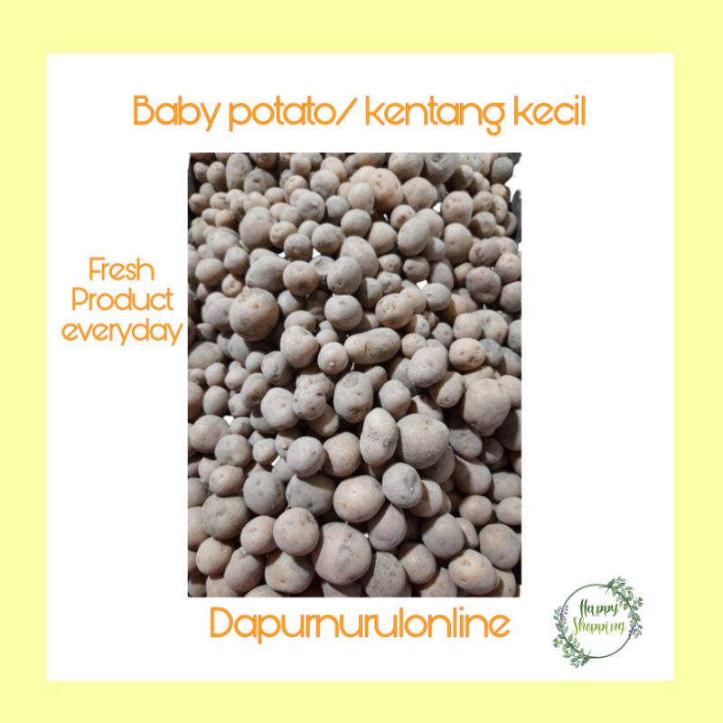 

Kentang kecil/ Baby potato