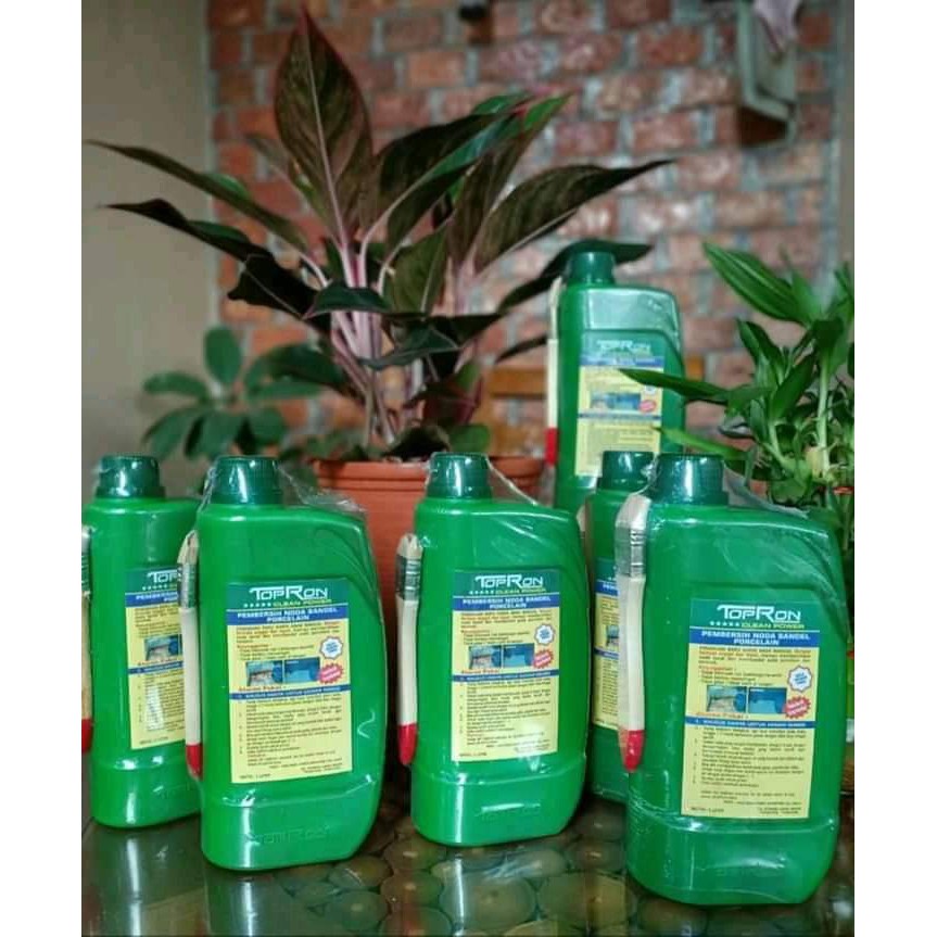 TOPRON PEMBERSIH KAMAR MANDI