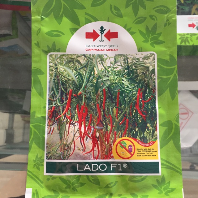 Benih Cabai Cabe Cap Panah Merah Lado