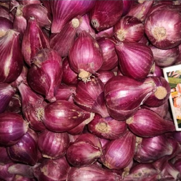 

BAWANG MERAH ASLI BREBES GEDE 1KG KERING