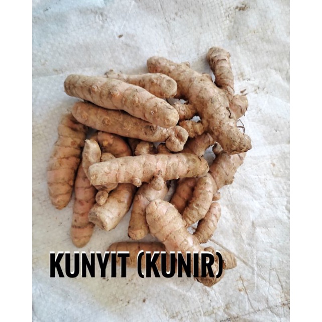 

Kunyit/Kunir 250 gr