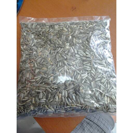 kwaci hitam buat hewan pengerat