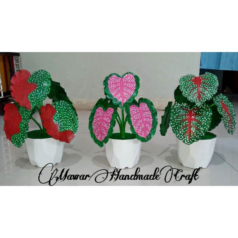 Keladi hias / keladi handmade / bunga handmade / bunga keladi buatan tangan / keladi kresek