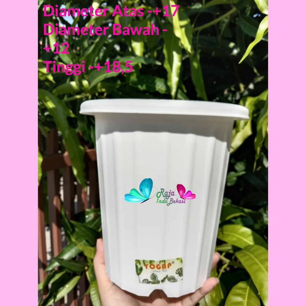 Pot Yogap 15 Putih Pot Tinggi Tebal Berkualitas Grosir Pot Yogap 10 13 15 17 18 Putih Transparan Bening Coklat Bata Murah