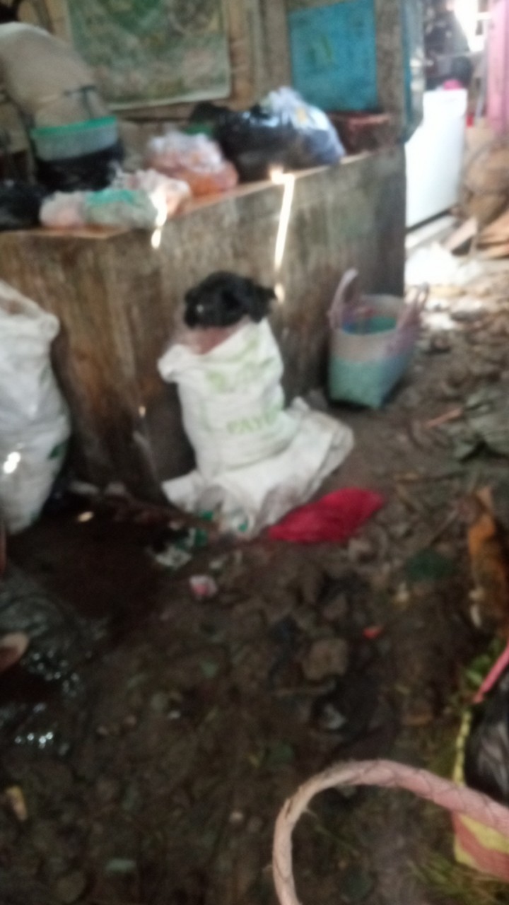 Capstock Karakter Lucu