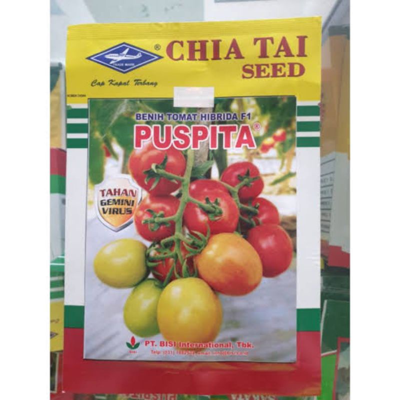 BENIH TOMAT PUSPITA F1/5 GRAM