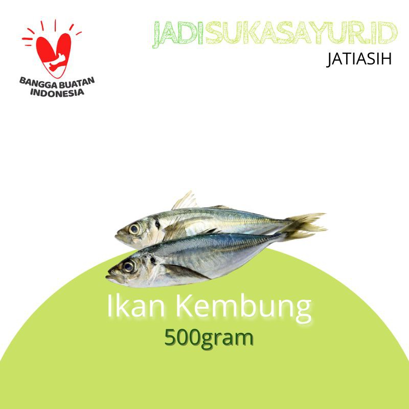 

Ikan Kembung Segar 500gram - Ikan Segar Bekasi