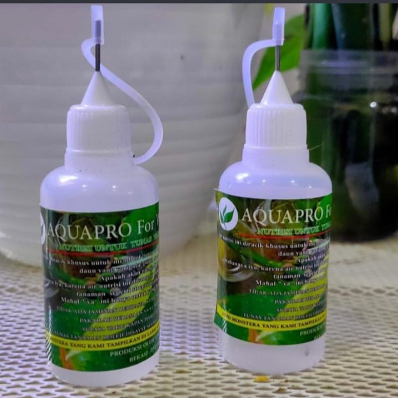 Hormon varigata tanaman,Aquapro for white