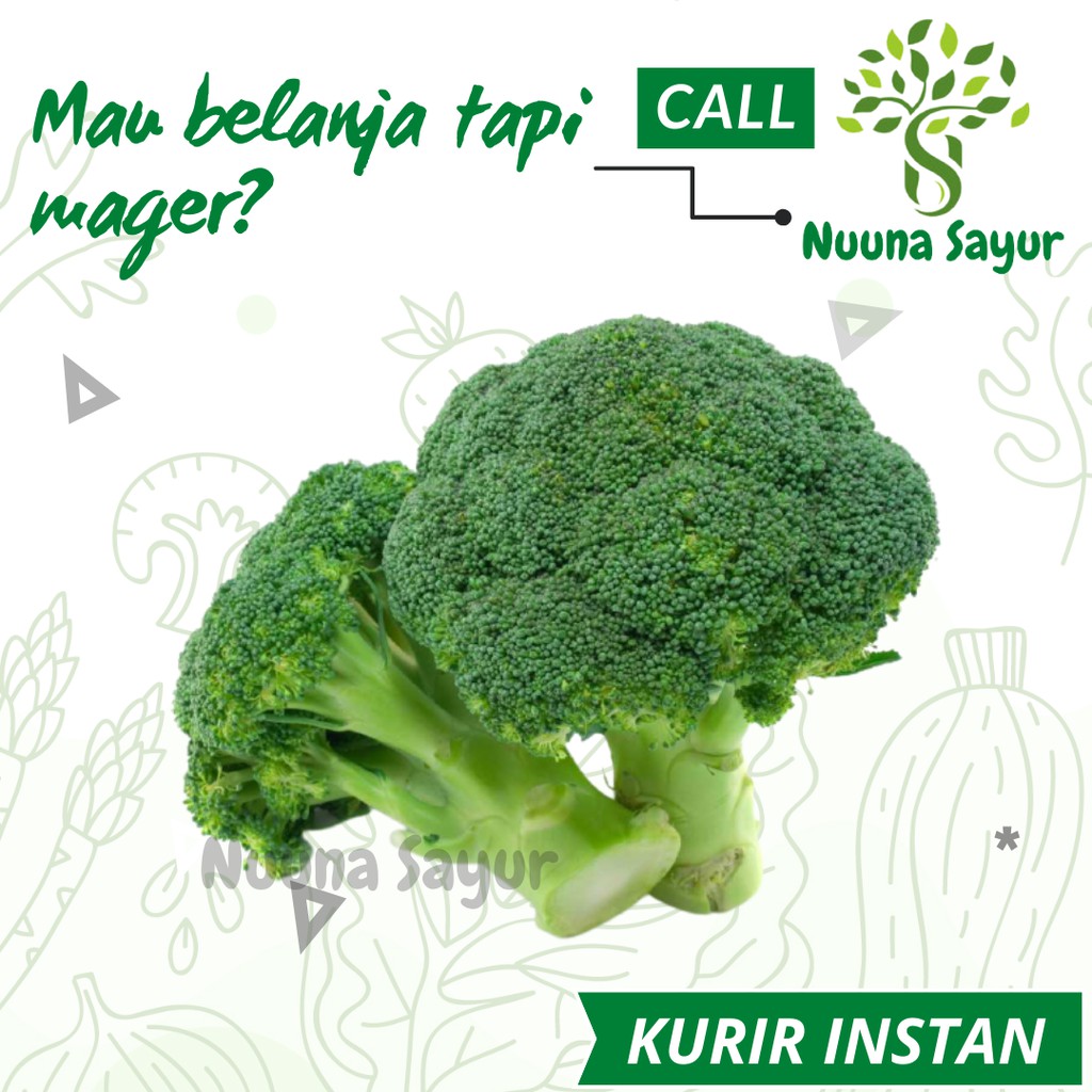 

SAYURAN SAYUR SEGAR FRESH BROKOLI HIJAU BROCCOLI 1pcs SERANG
