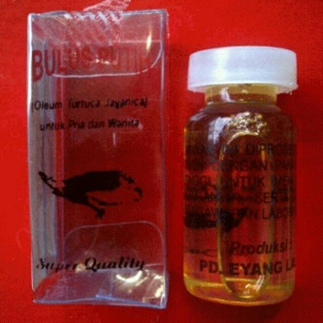 Minyak Bulus Original / Minyak Bulus Putih