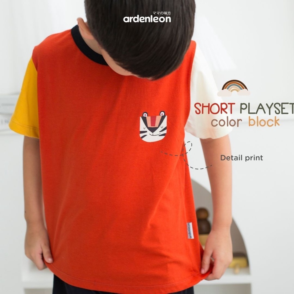 Ardenleon Short Playset Color Block