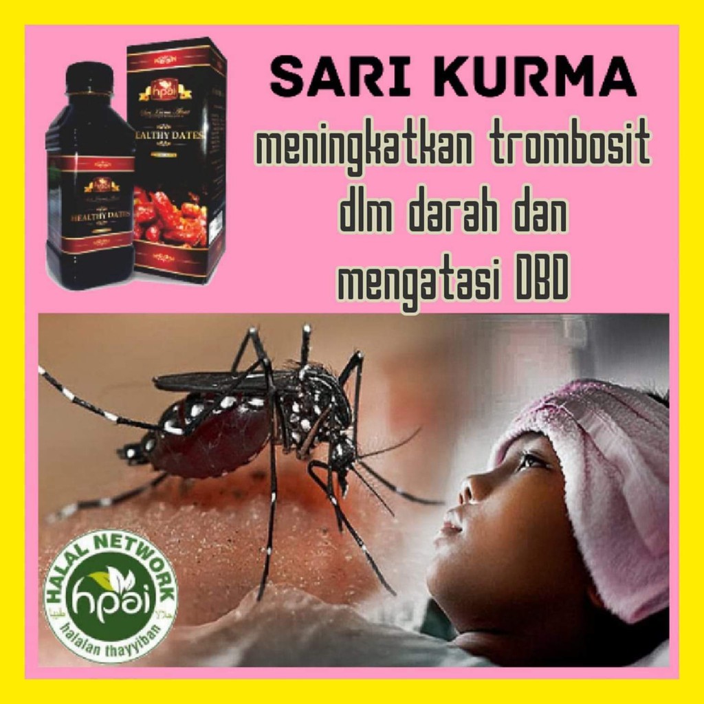 

SARI KURMA HNI