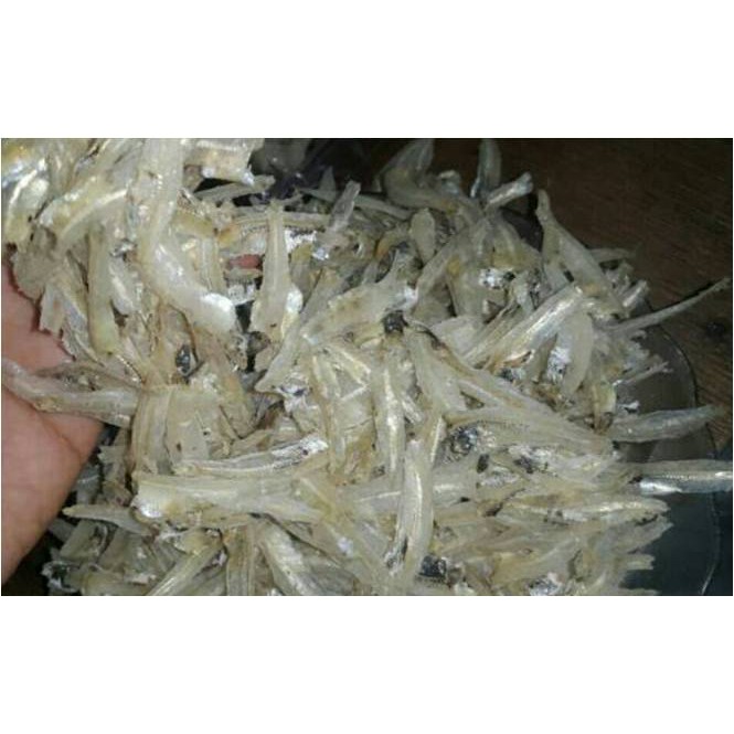 

Teri Pekto / Gepeng ( @ 500 Gr )