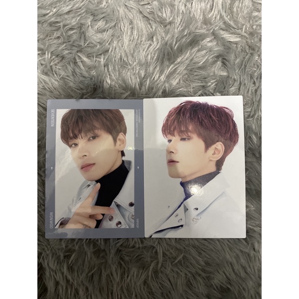 TC HARE WONWOO SEVENTEEN