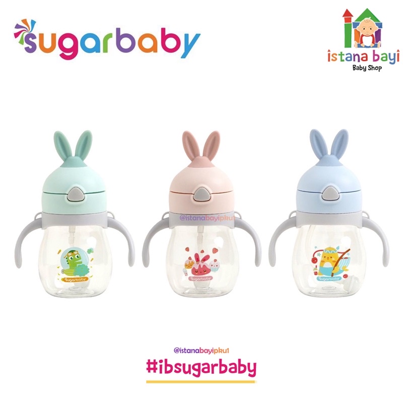 Sugar Baby TRITAN Sippy Cup Rabbit - Training cup - Botol minum bayi