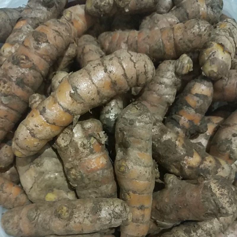 

Kunyit 1kg