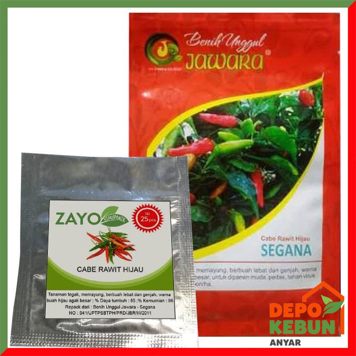 BENIH CABE RAWIT HIJAU / BIBIT CABE RAWIT HIJAU / BENIH CABAI RAWIT HIJAU / BIBIT CABAI RAWIT HIJAU