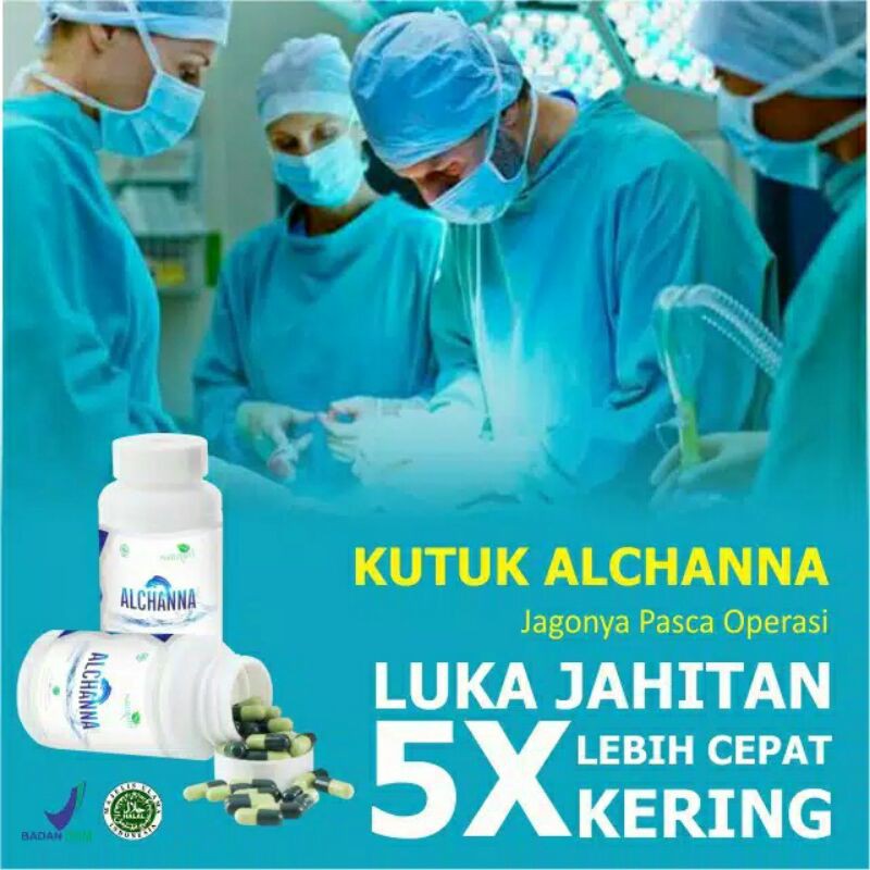 ALCHANNA ORIGINAL KAPSUL KUTUK BERKUALITAS KAPSUL EKSTRAK IKAN GABUS PREMIUM VIP ALBUMIN OBAT PASCA OPERASI CESAR SESAR GROSIR TERMURAH