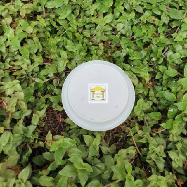 Tatakan Alas Pot Bunga Nkt 10Cm Untuk Pot Ukuran 10 Cm dan 12 Cm - NKT TATAKAN LEBAH 10 PUTIH