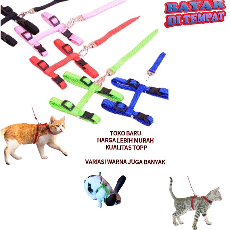 TALI TUNTUN KUCING TALI KUCING HARNESS H UKURAN ALL SIZE TALI MUSANG TALI KELINCI TALI UNTUK KUCING , KELINCI , MUSANG JALAN JALAN BANYAK VARIAN WARNA