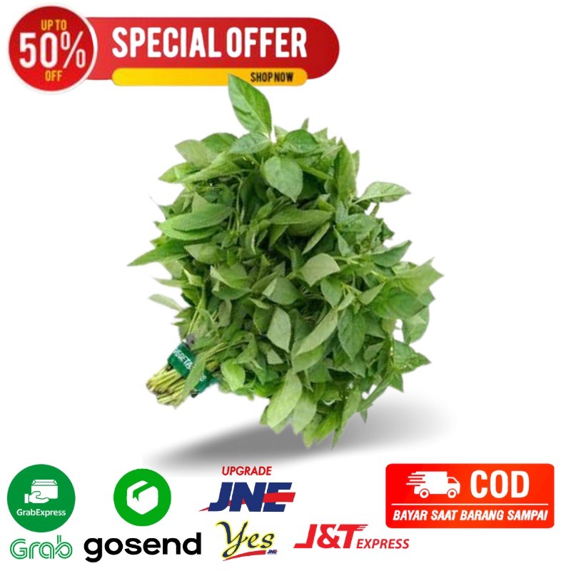 

kemangi fresh per ikat sayuran segar bandung