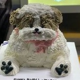 

BINGKAI KAYU