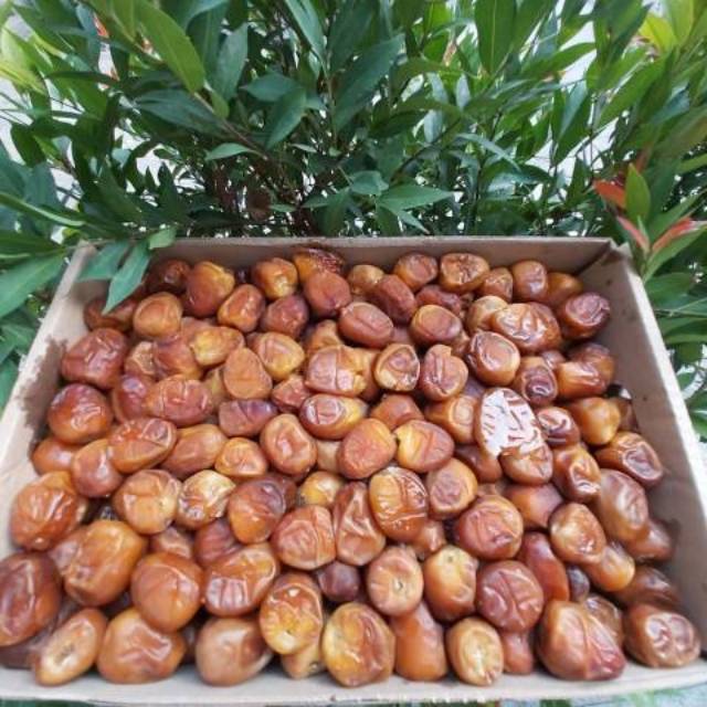 

Grosir Kurma Sukari 3kg Korma Sukkari Madinah Dates Original